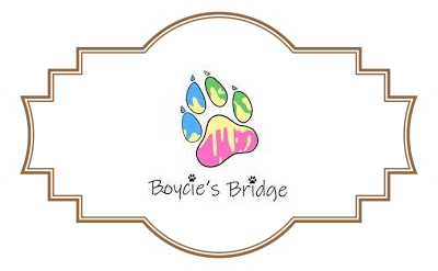 Boycie's Bridge
